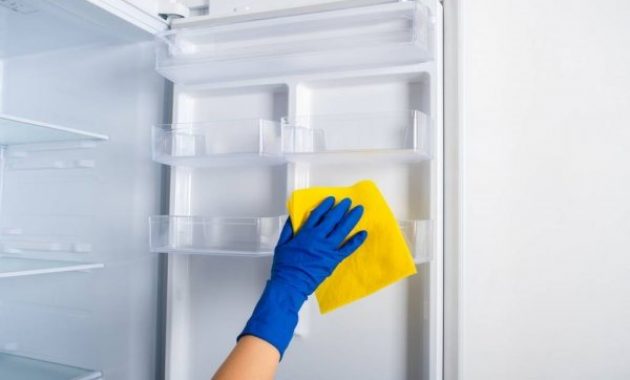 How to Clean the Refrigerator to Avoid Germs