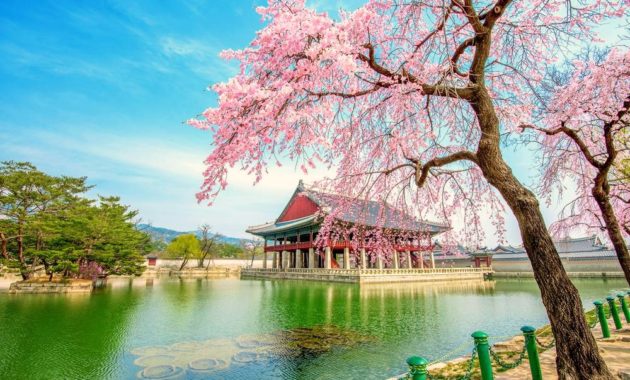 Don’t Do These 8 Things When Traveling to South Korea