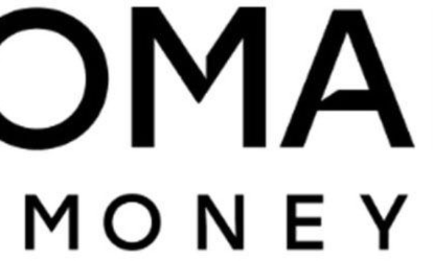 Domain Money Review