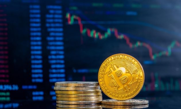 8 Crypto Courses to Get Better at Trading
