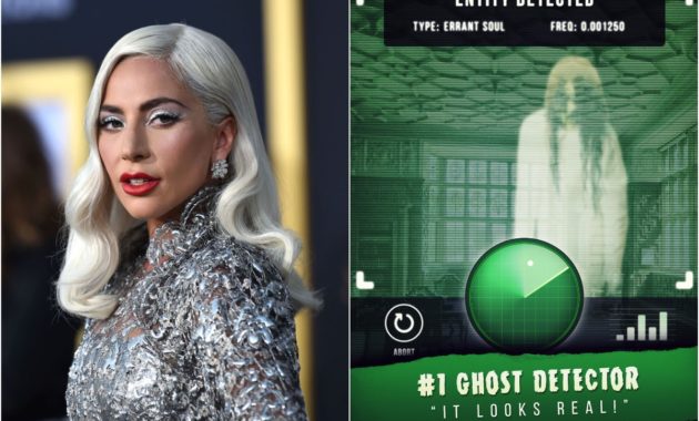 7 Famous Celebrities Who Bought The Strangest Things Ever