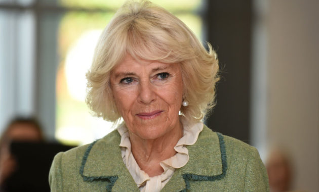 Camilla’s Transformation From Royal Mistress to Queen Consort