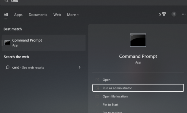 How to Run System File Checker (SFC) in Windows 11/10