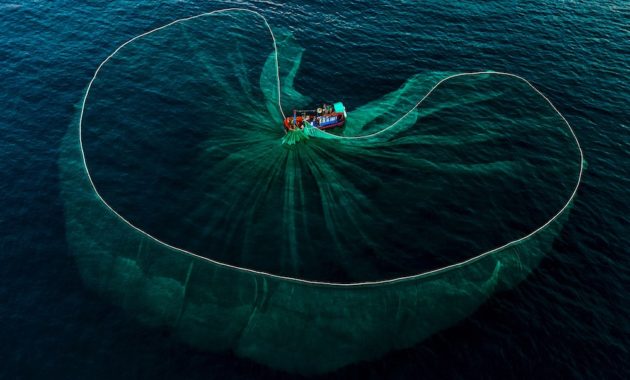17 Most Alarming and Horrifying Underwater Sea Facts