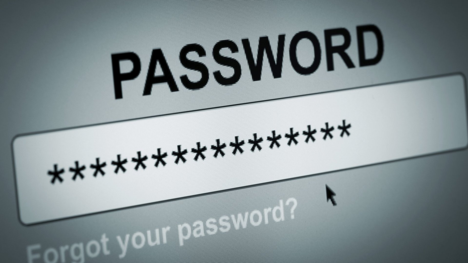 5 Tips for Staying Safe Online 5 Tips for Staying Safe Online