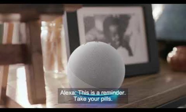 Alexa Together Explained in 5 Minutes or Less
