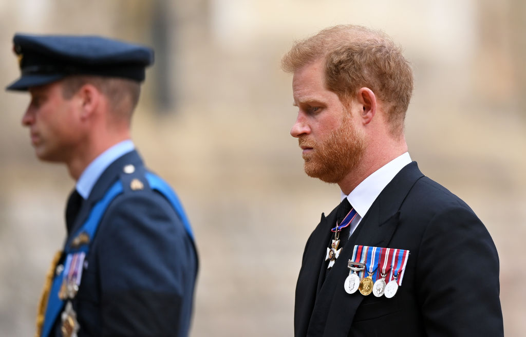 Prince Harry Tells Exactly Why He is Worried For Prince William’s Children