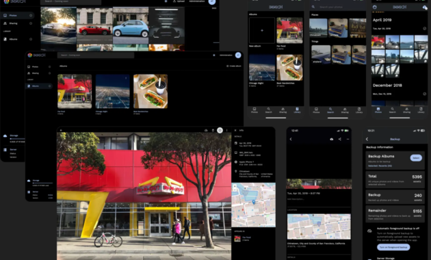 9 Best Self-hosted Photo Backup Alternatives to Google Photos [2023]