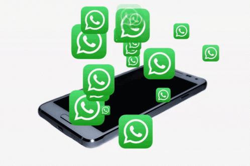 How to Set Custom Notifications on WhatsApp