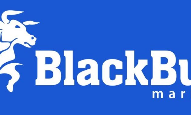 BlackBull Markets Review